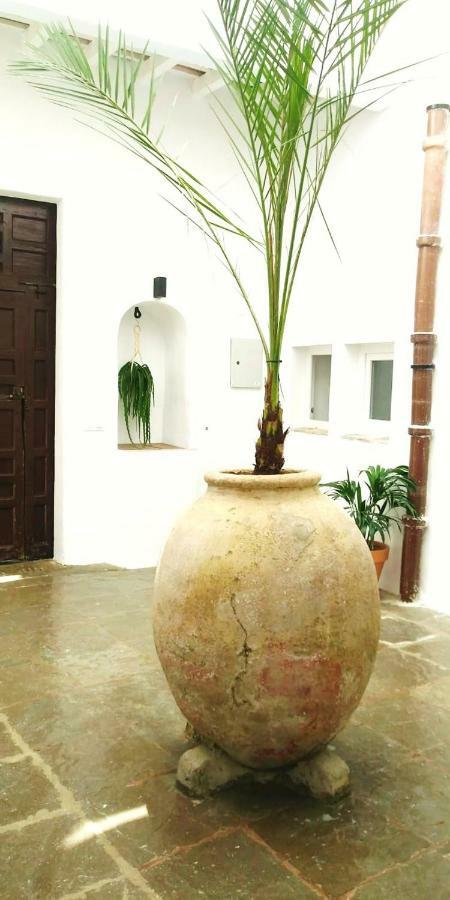 La Fuente 14, Casa Solariega En Pleno Centro Leilighet Vejer de la Frontera Eksteriør bilde